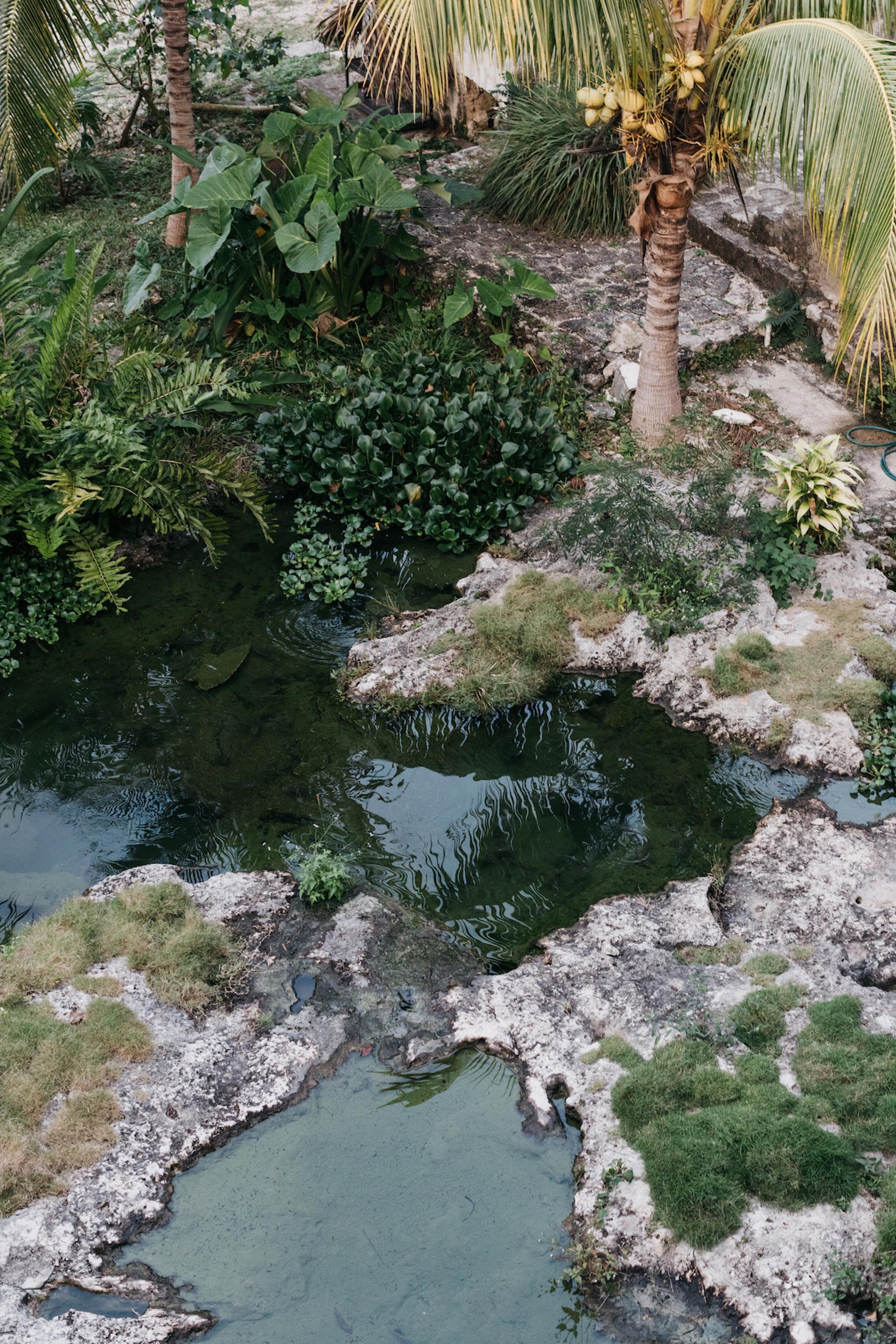 Coqui Coqui Papholchac Coba Residence & Spa المظهر الخارجي الصورة